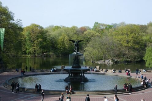 Central park NYC